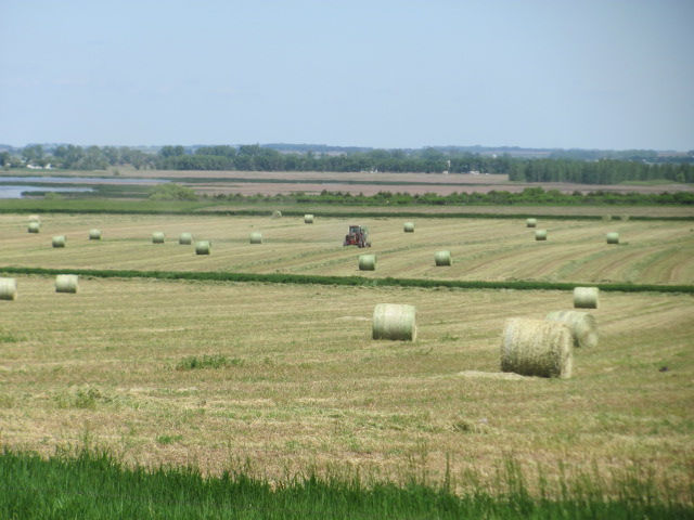 170608 001 alfalfa harvest 004.jpg