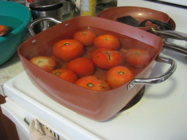 180813 002  tomatoes 001.jpg