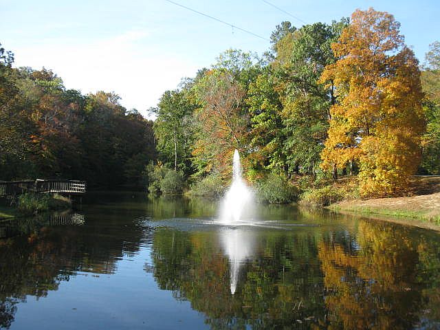 071024 001 fall color 002.jpg