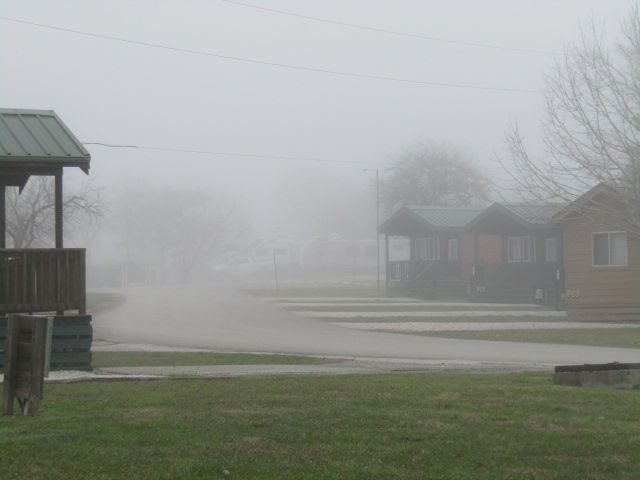 190108 002 foggy morning 004.jpg
