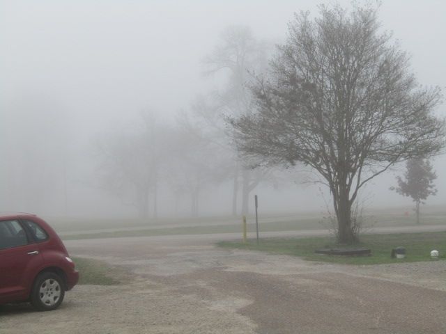 190108 002 foggy morning 001.jpg