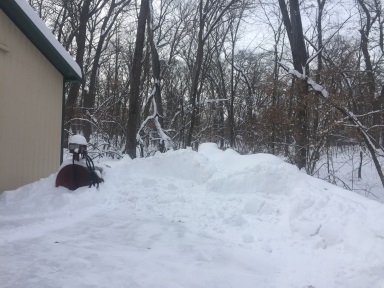 Snow Feb 2019 gas tank.jpg