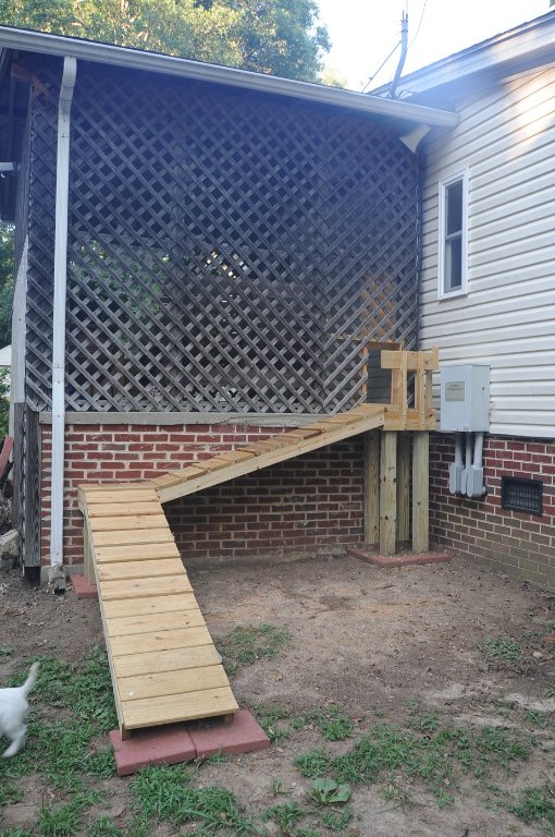 dog ramp.jpg