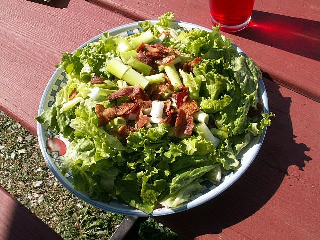 071011 001 killed lettuce 001.jpg