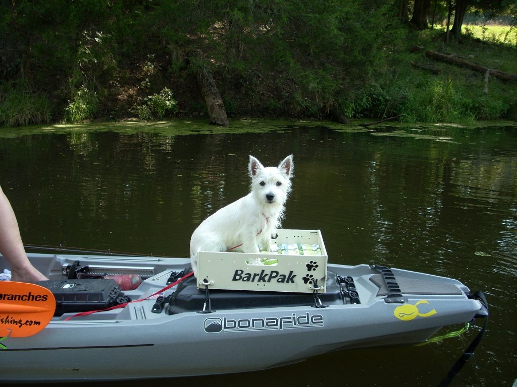 Bark Pak Princess Fiona.jpg