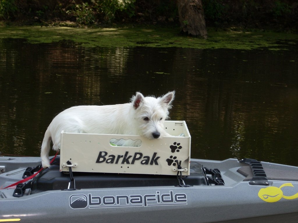 Bark pak two.jpg