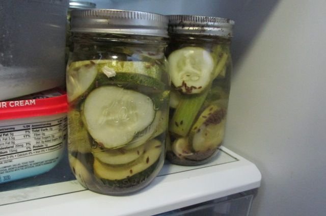 190908 001 mountain pickles 001.jpg