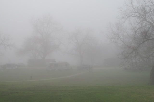 200303 001 foggy travel morning 002.jpg