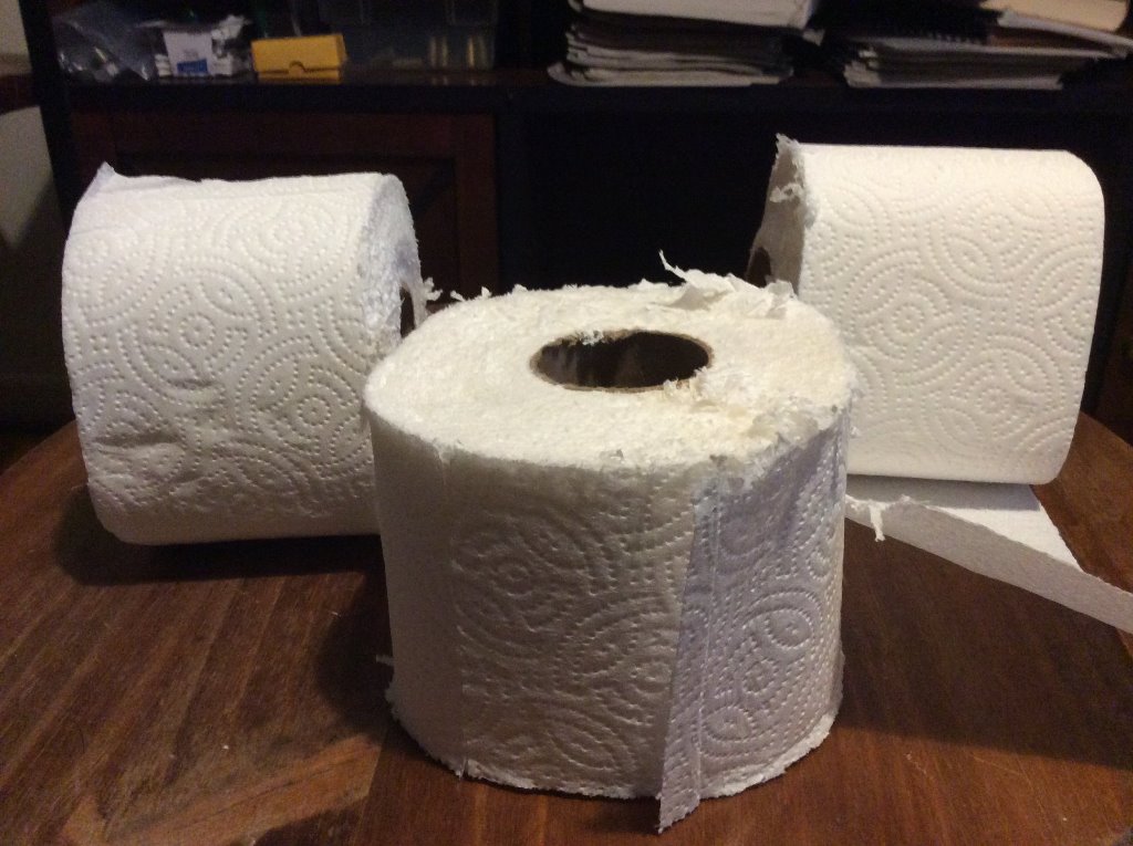 Toilet paper.jpg