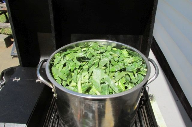 200416 001 boiling collards 002.jpg