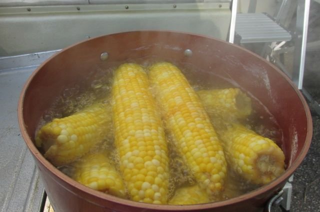 200702 003 corn  002.jpg