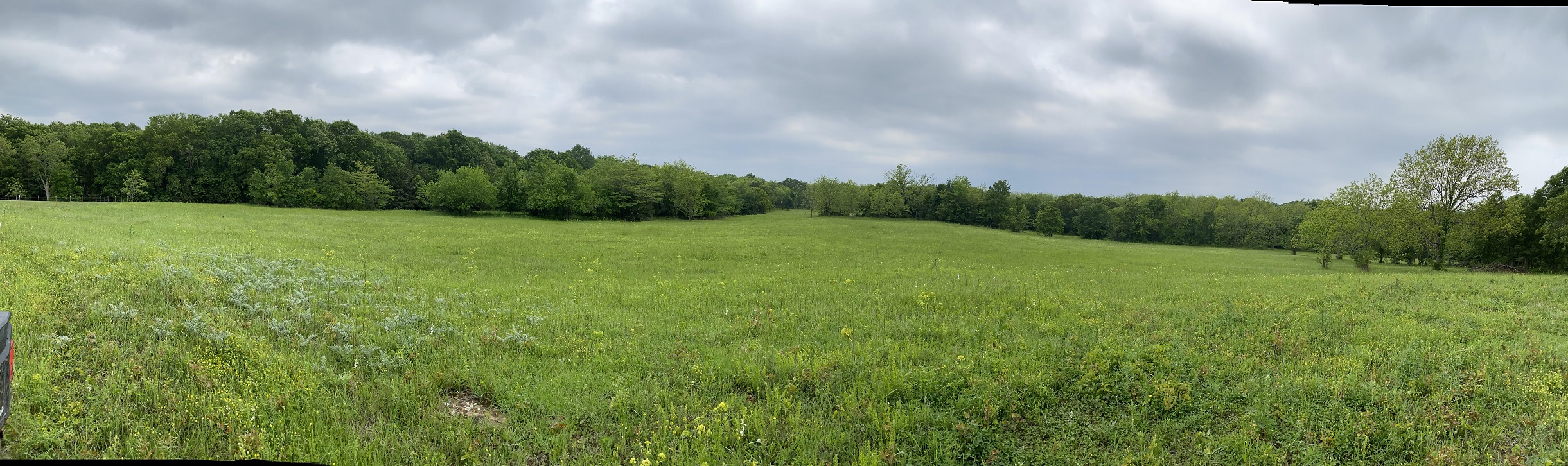 north pasture panoramic view 230507 comp.jpg