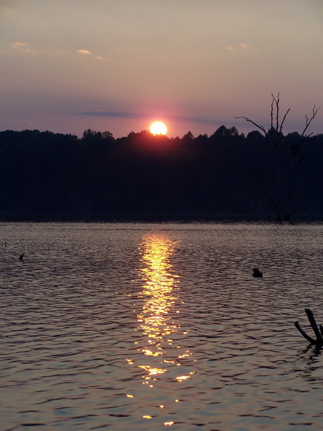 briery creek sunset.jpg