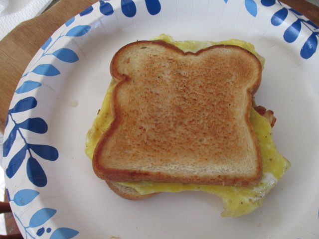 231114 006 full sandwich 002.jpg