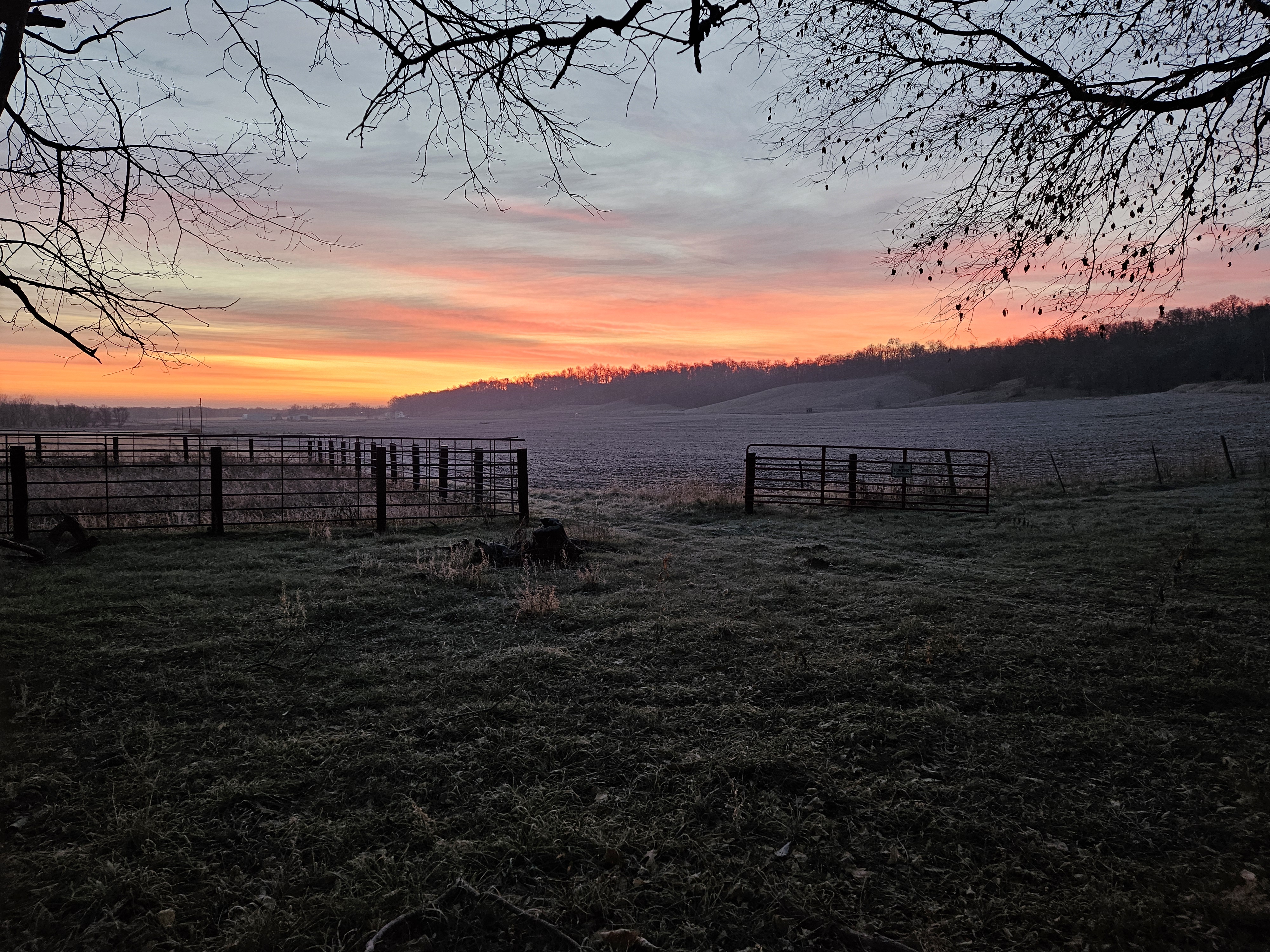 Deer Camp Sunrise 2023.jpg