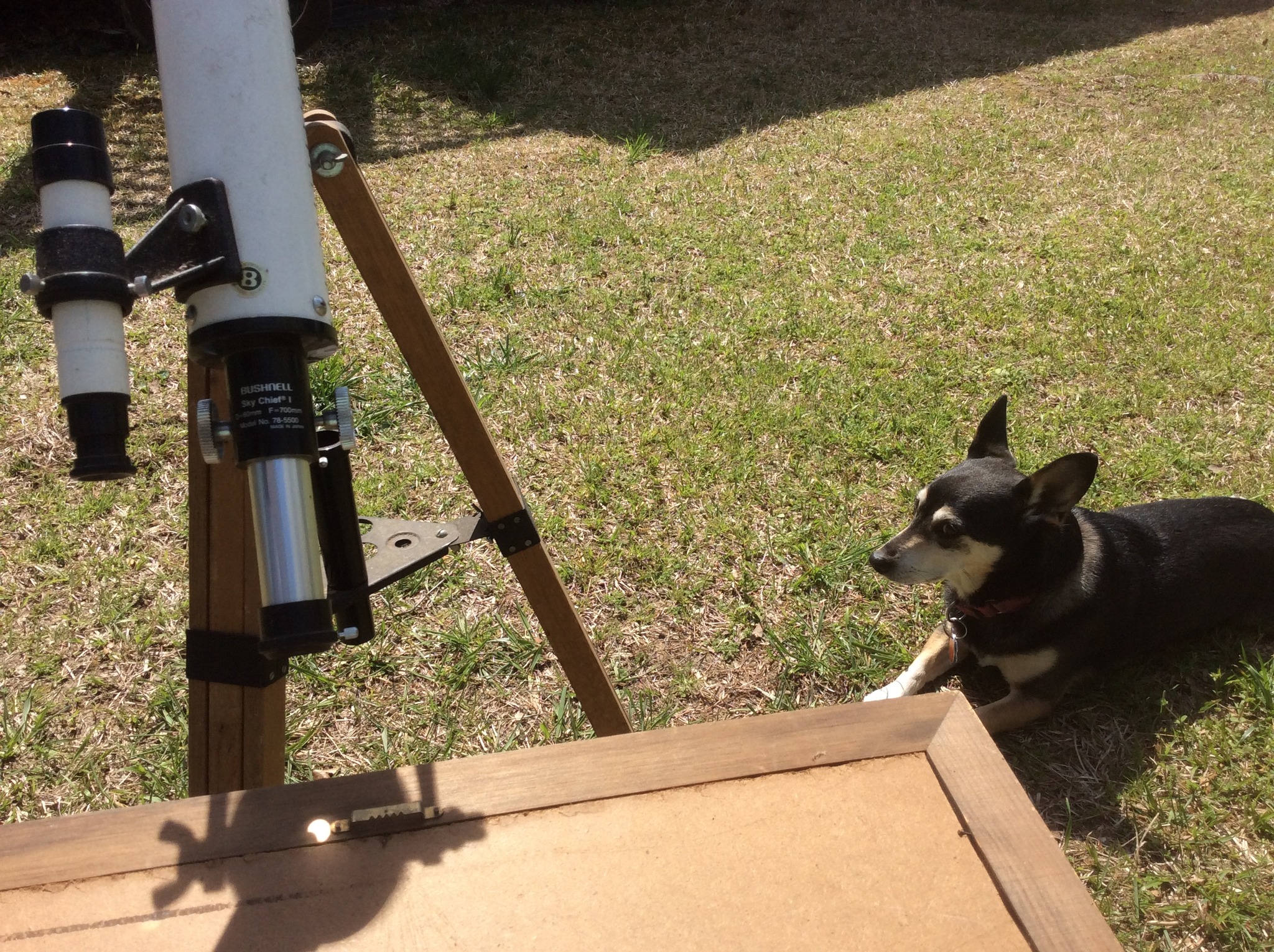 Buster and I setting up for 2024 eclipse.jpg