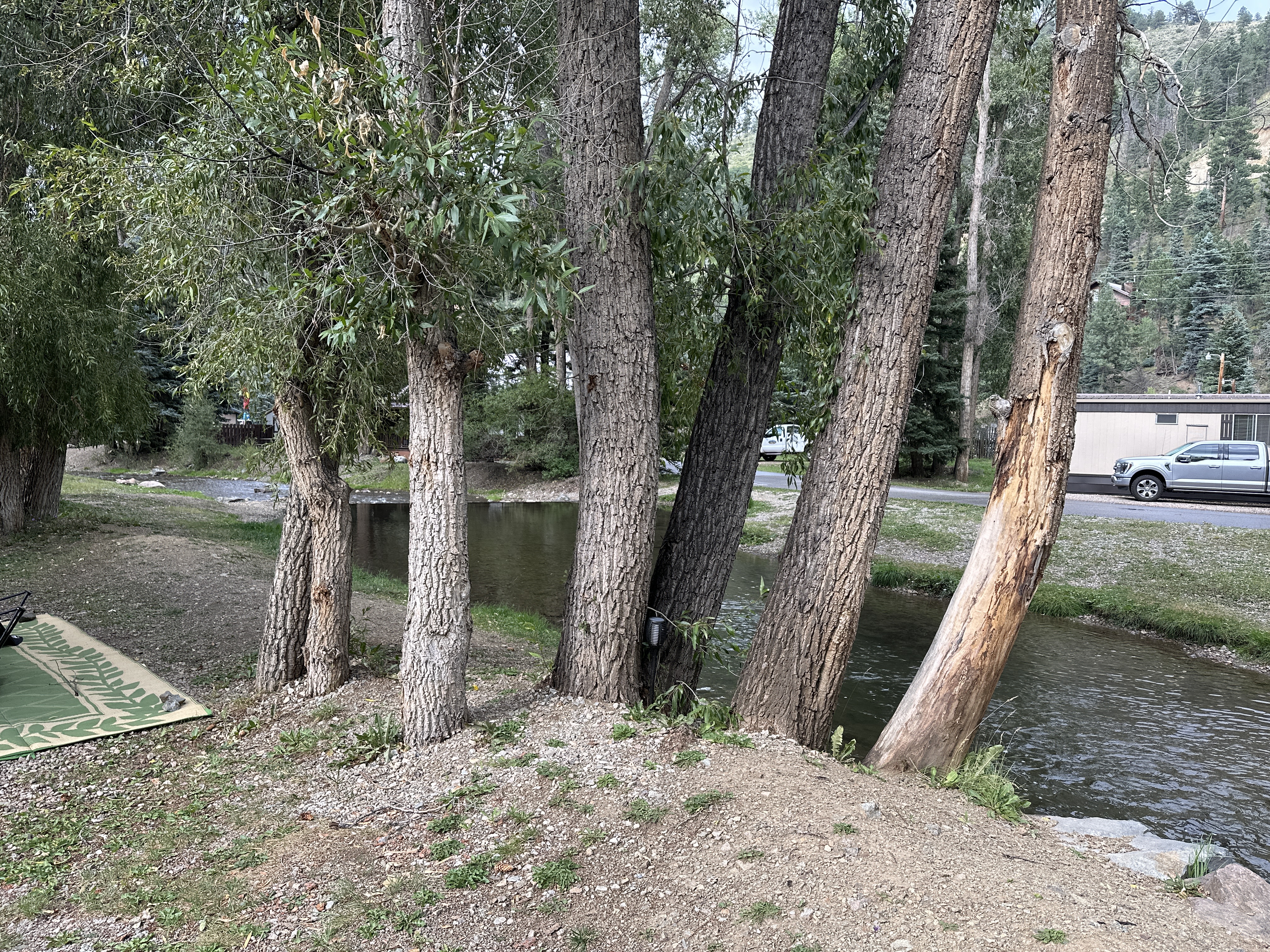 IMG_0567.jpeg