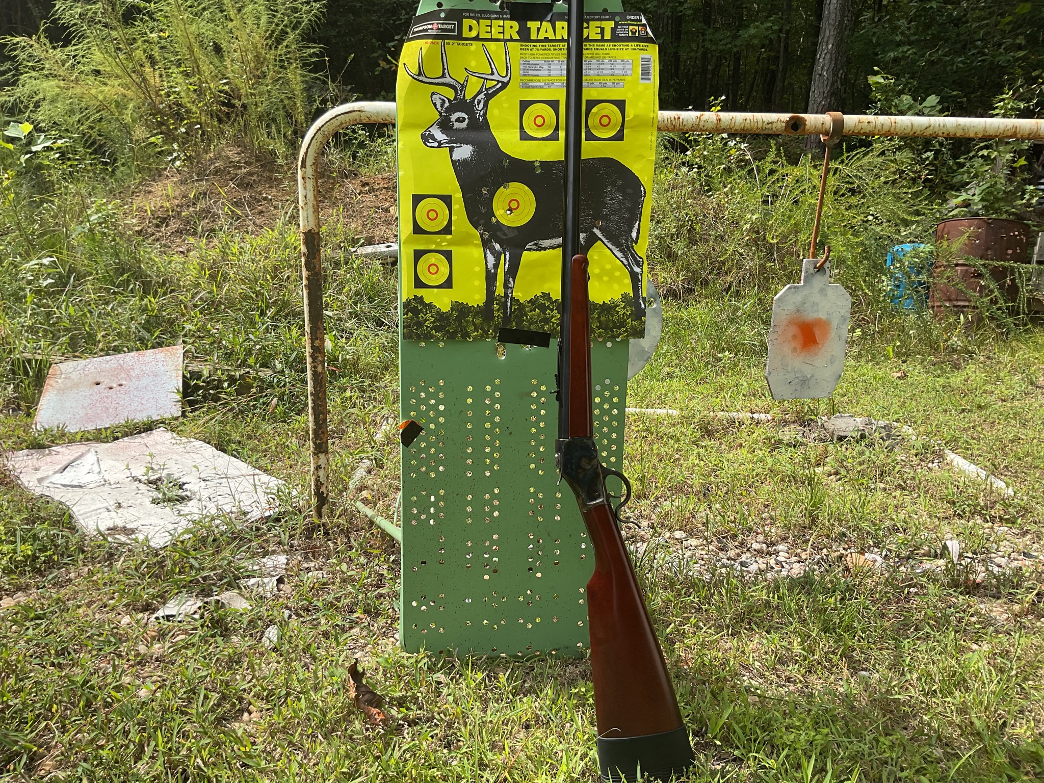 a little buck hunting.jpg