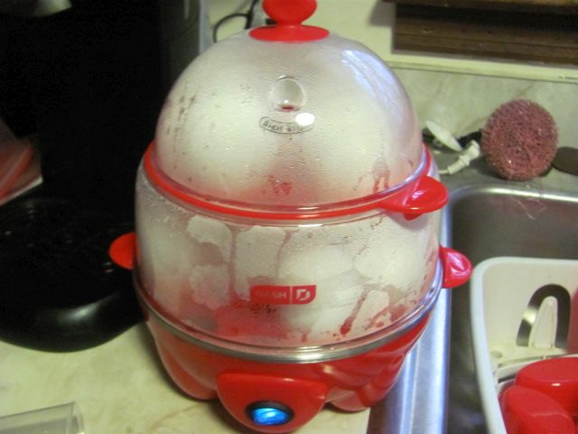 180103 001 egg steamer 001.jpg