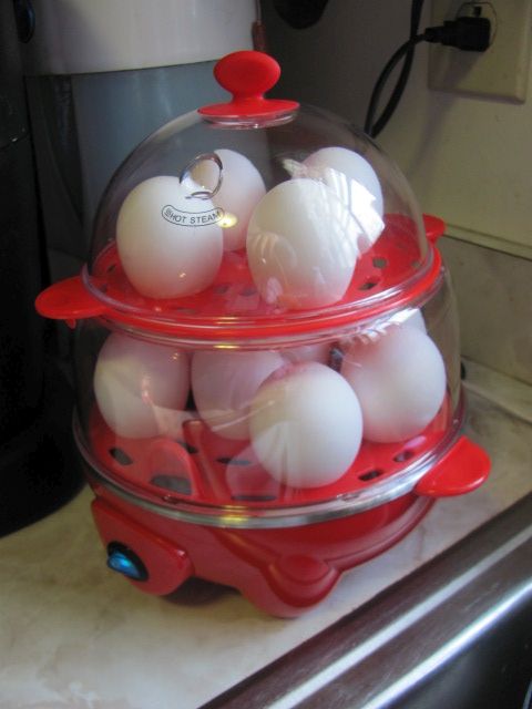 180104 001 egg steamer 002.jpg