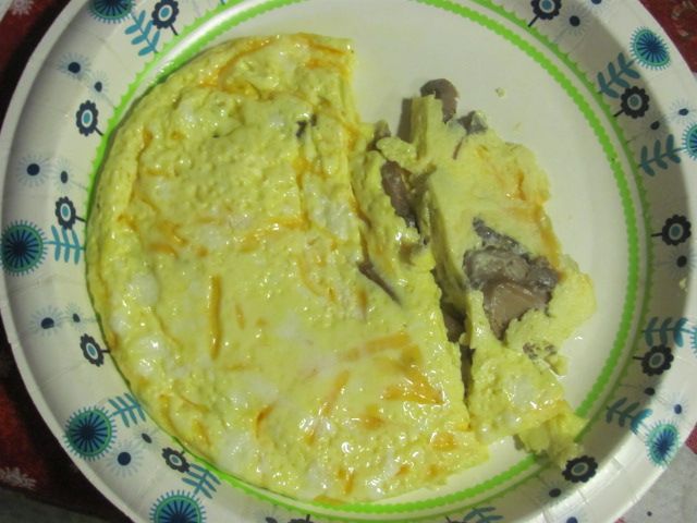 180105 008 egg steamer omelet 001.jpg