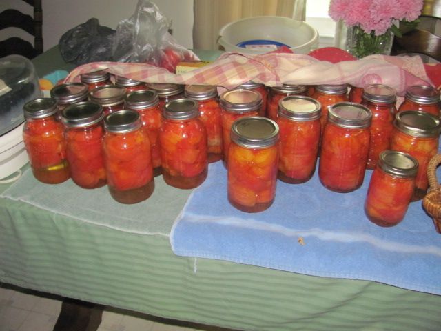 180813 004 tomatoes 001.jpg