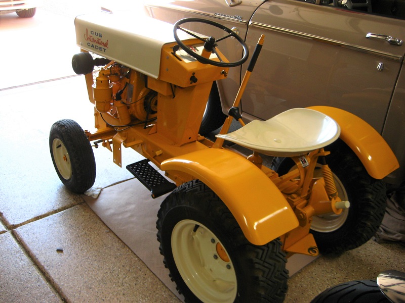 Cub-1.JPG