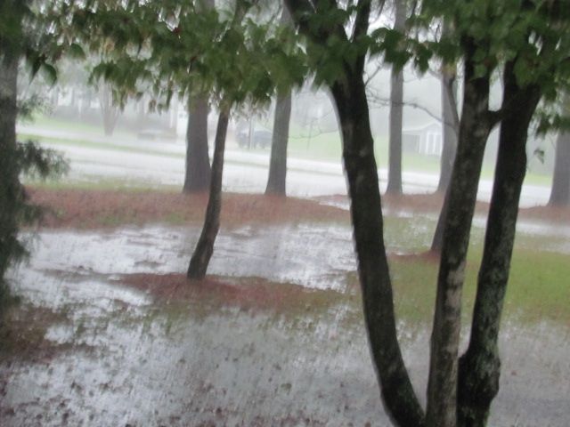 161008 002 Hurricane Matthew  003 eye near Charleston.jpg