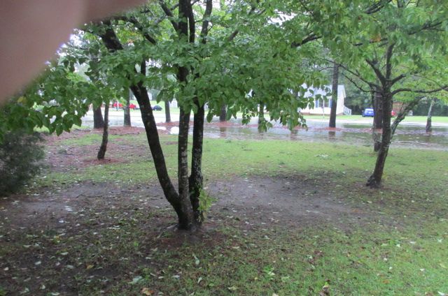 180914 002 rain 001.jpg