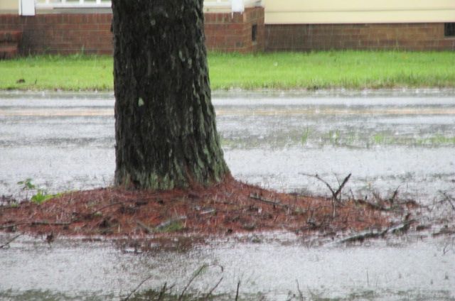 180914 003 rain 005.jpg