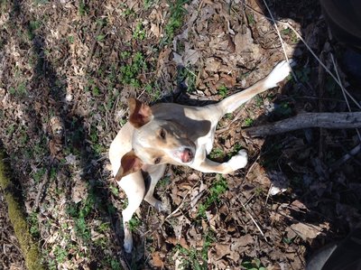 This is geeg she's a chipmunk killing  Machine