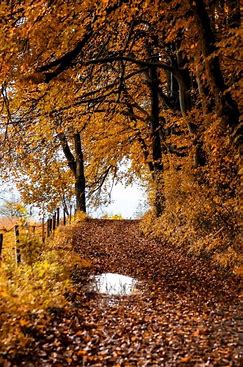 Autumn.jpg