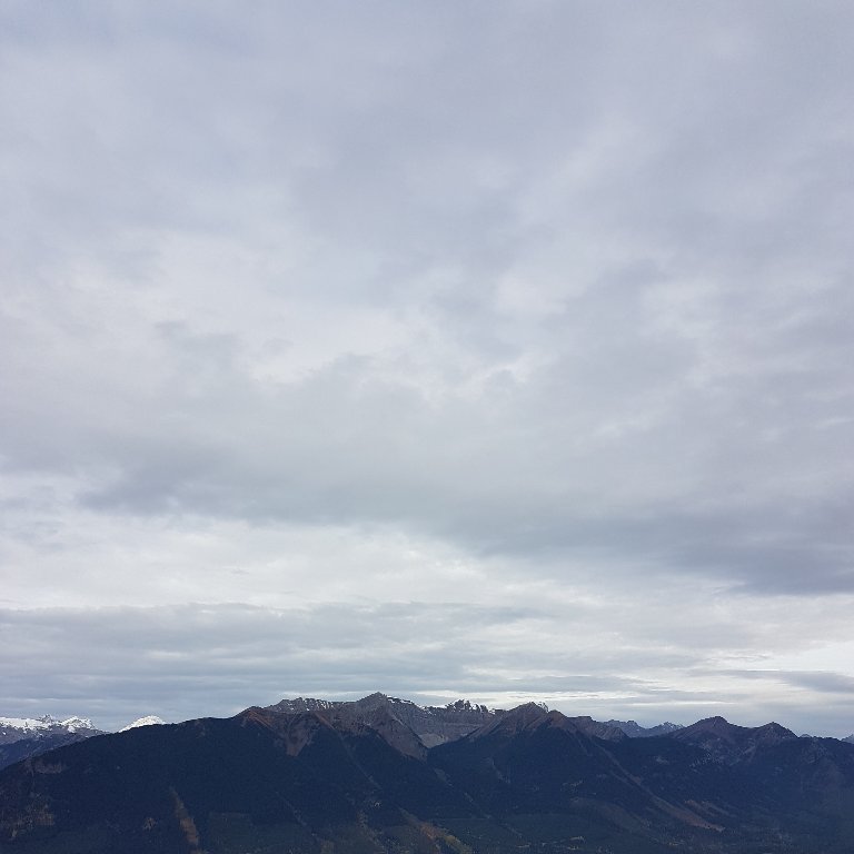 20180926_095152.jpg