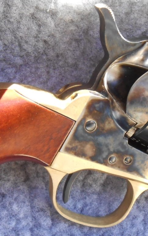 1873 Stallion_2863_crop.jpg