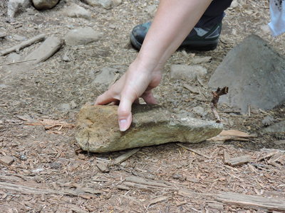 DSCN4032.JPG
