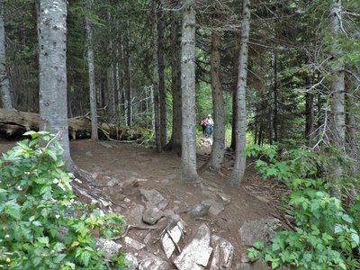 DSCN4060.JPG