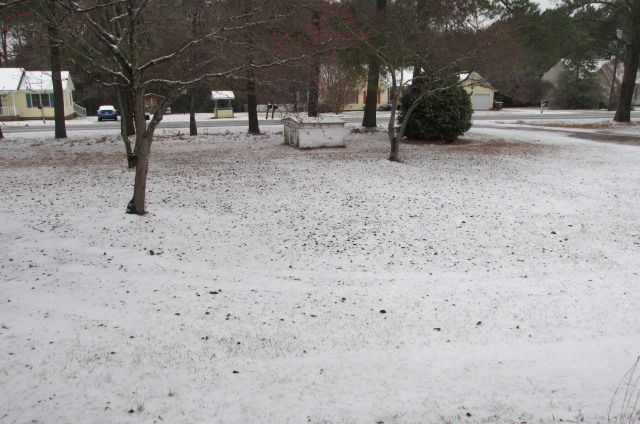181209 002 ice & snow 001.jpg