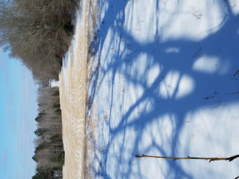 20180116_120744_001.jpg