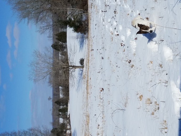 20180116_122856.jpg
