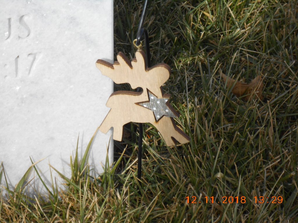 Deer at Leavenworth_2984.JPG