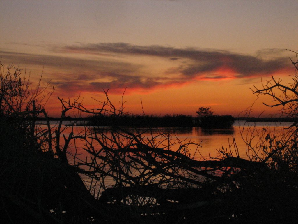 IMG_0099.JPG