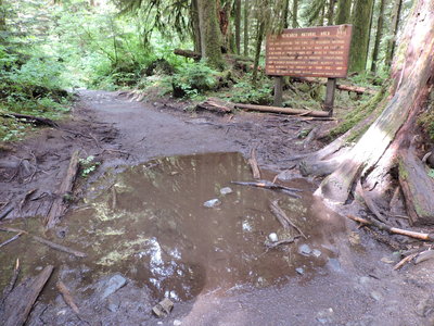 DSCN4185.JPG