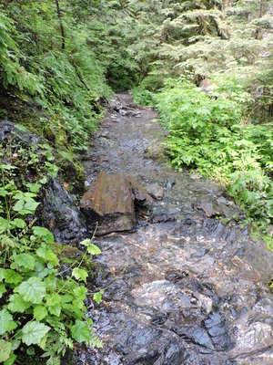 DSCN4191.JPG