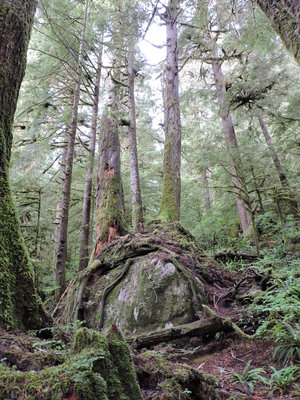 DSCN4208.JPG