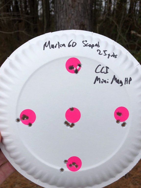 Marlin 60 at 25 yards after re-adjusting the scope.