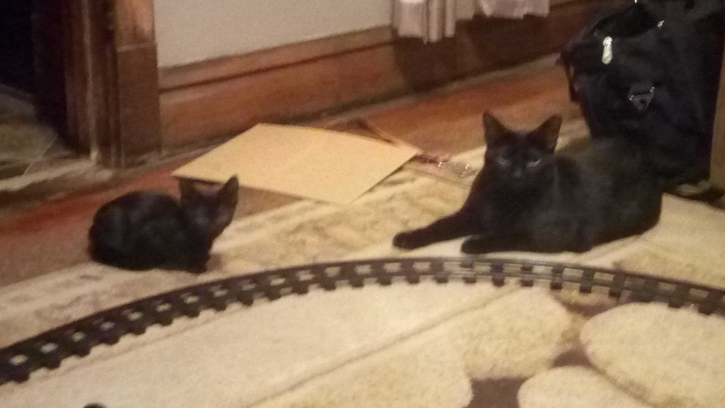 The big one is Jack, the little one is Sally