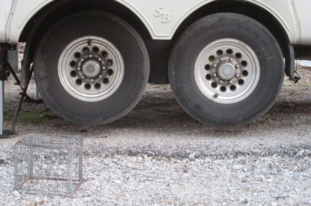 190126 004 at Bennett's CG 003.jpg