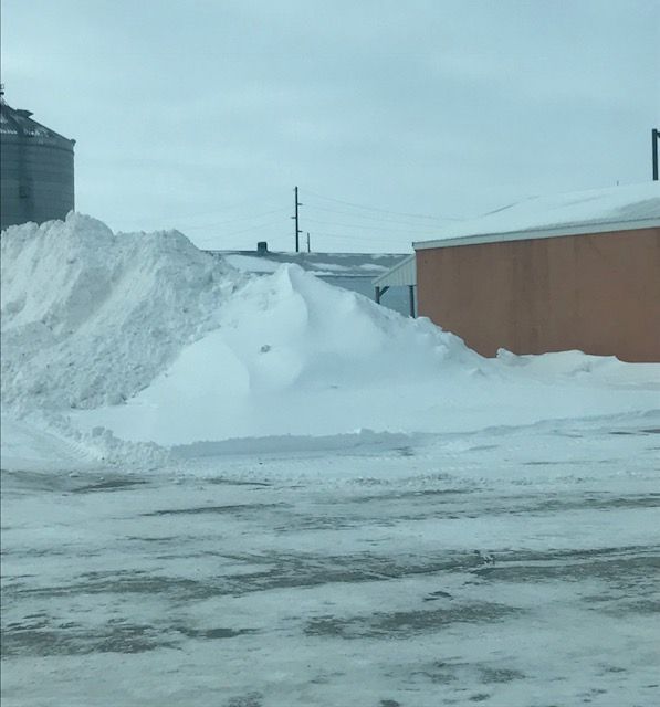 190128 001 snow 002.jpg