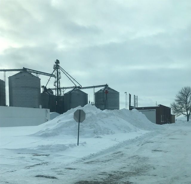 190128 001 snow 003.jpg