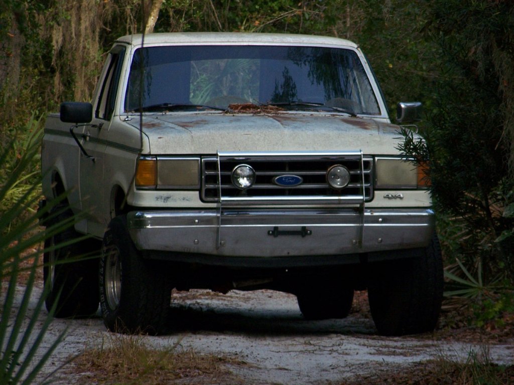 beast.jpg